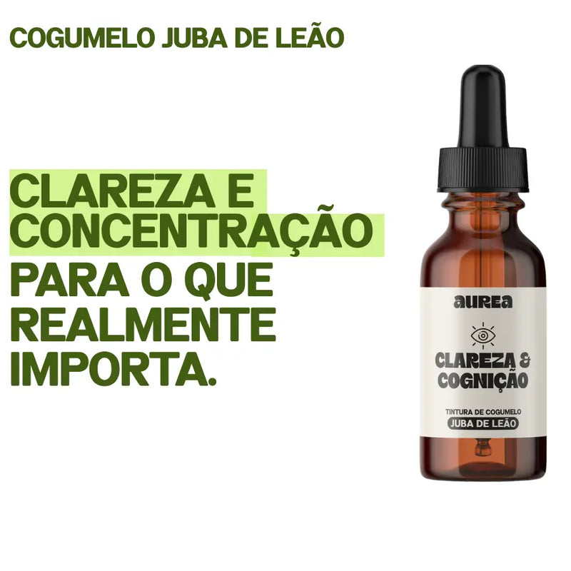 COGUMELO JUBA DE LEÃO | CLAREZA & COGNIÇÃO