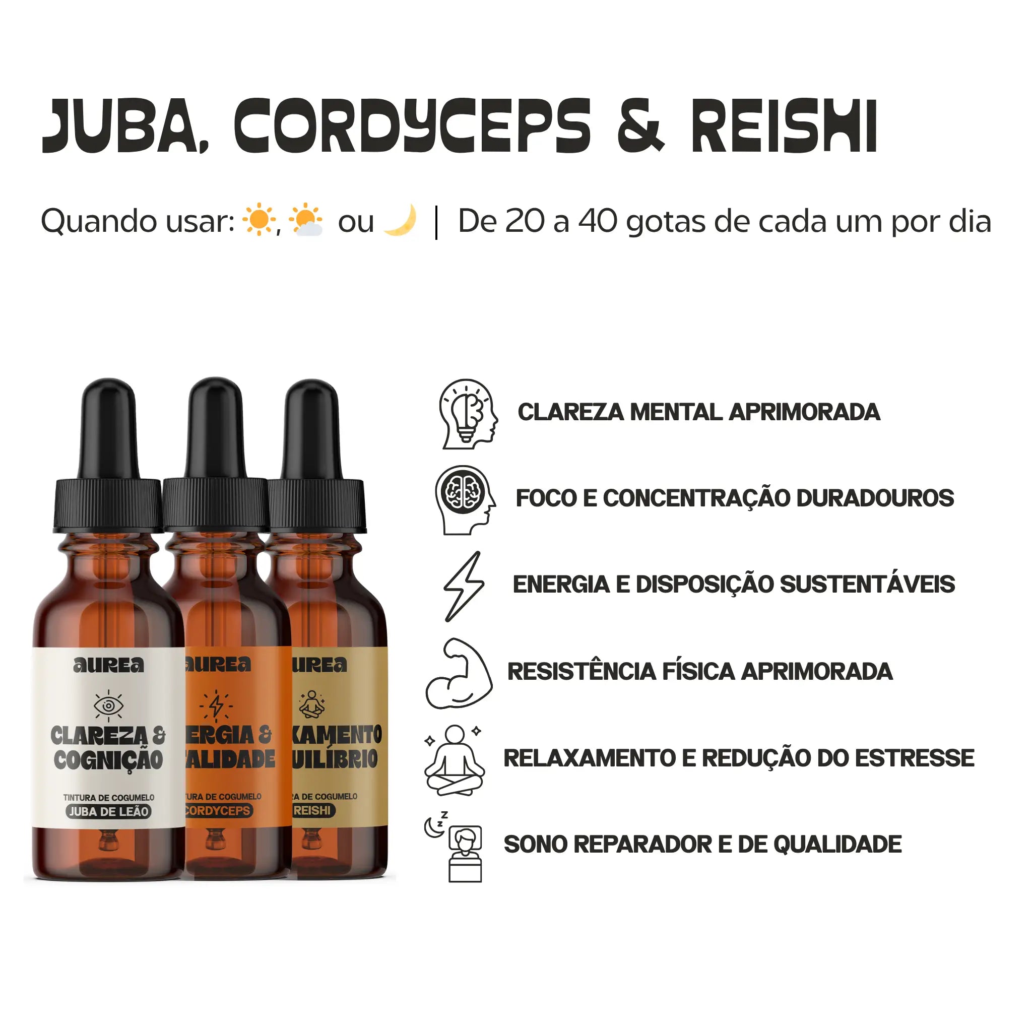Kit Extratos de Cogumelos Juba de Leão, Reishi e Cordyceps | Kit Harmonia