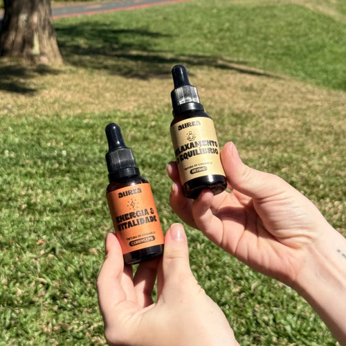 Kit Extratos de Cogumelos Cordyceps e Reishi 30ml | Equilíbrio & Vitalidade