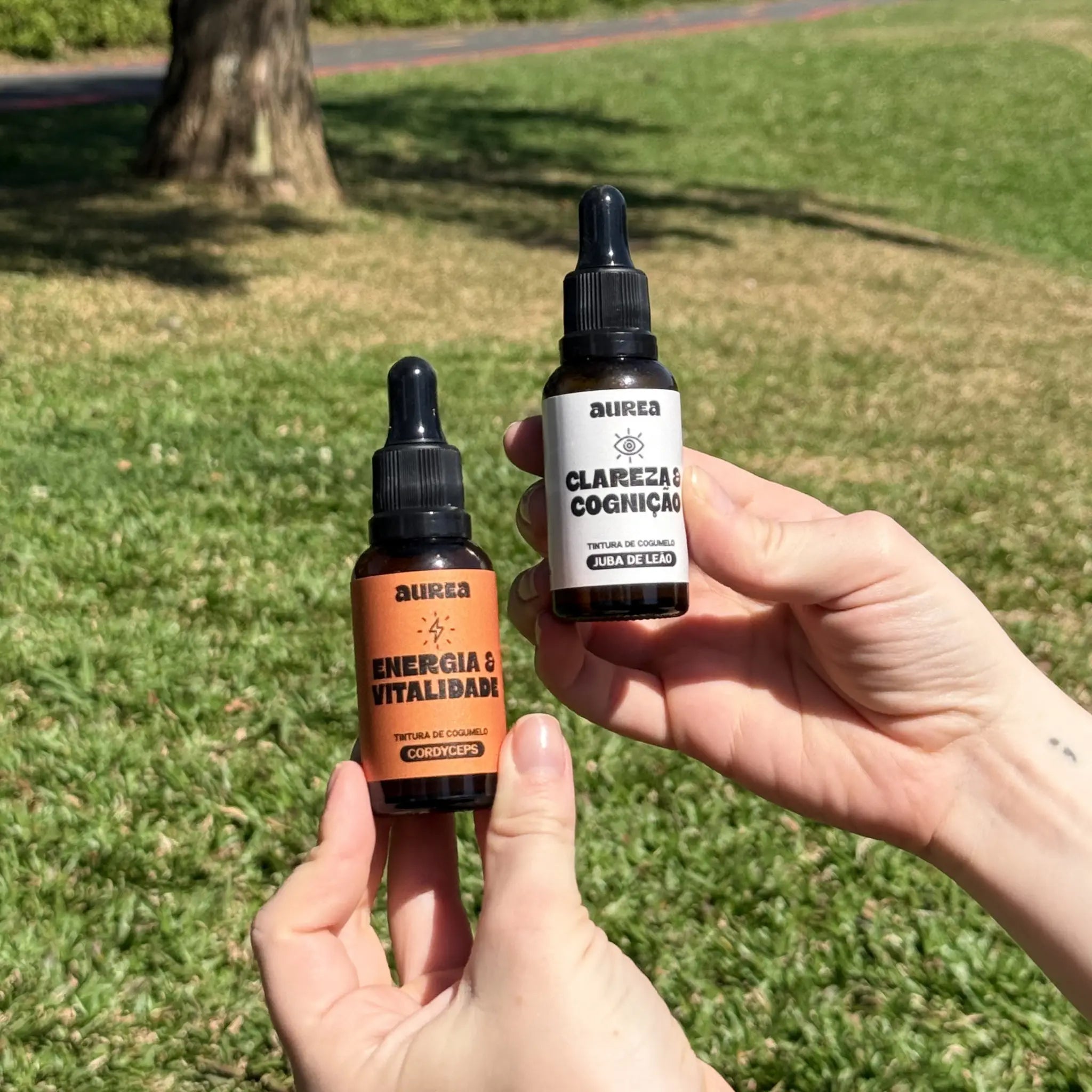 Kit Extratos de Cogumelos Juba de Leão e Cordyceps 30ml | Cognição & Vitalidade